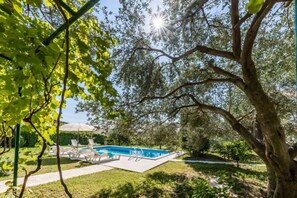 Outdoor pool, pool umbrellas, pool loungers - Luxury Family-friendly Apartment With Private Pool, 10 min Drive to Center Split (Solin)