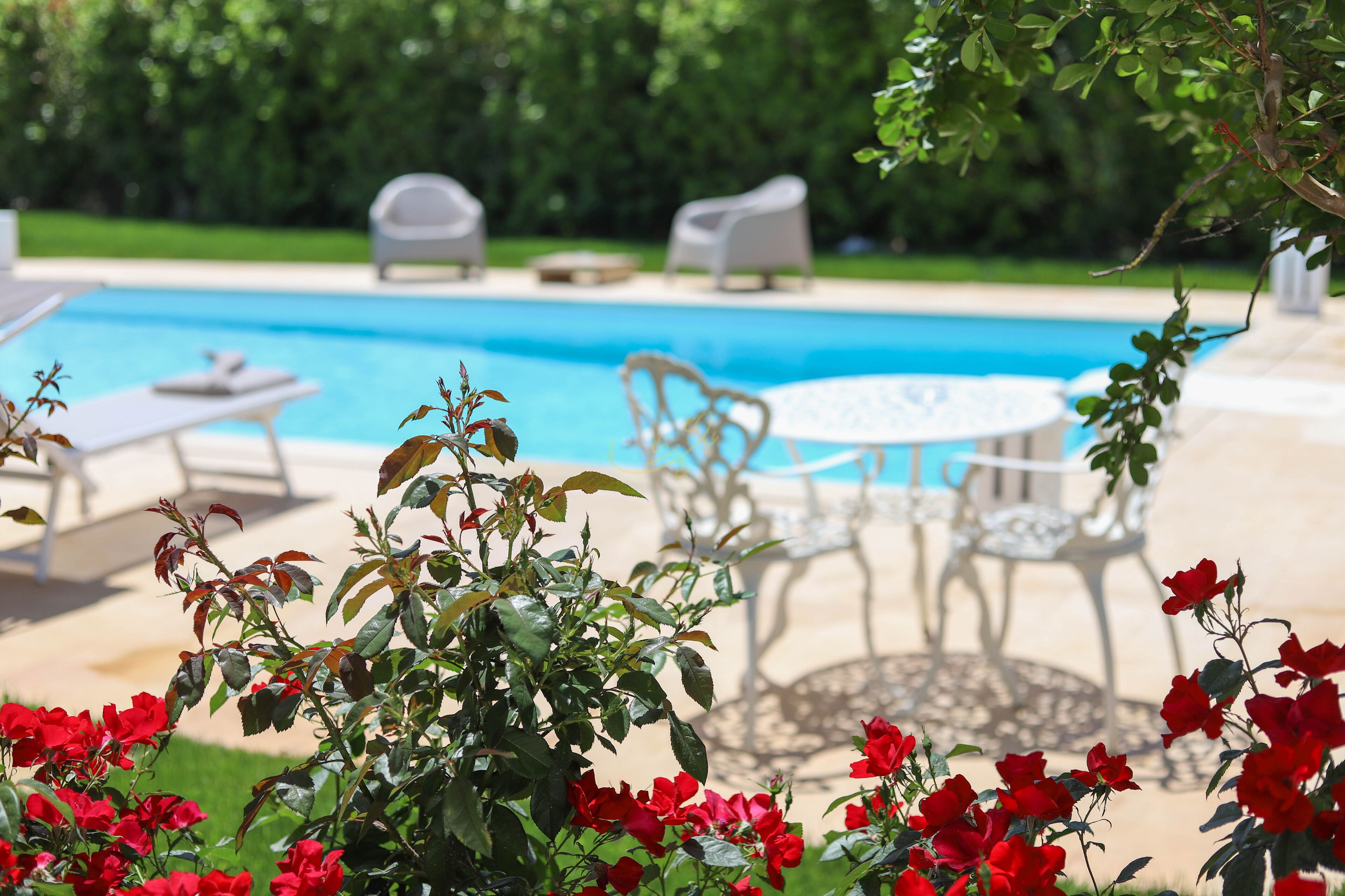 Ein Poolbereich mit Liegestühlen und einem Tisch, umgeben von Grünpflanzen und roten Blumen.