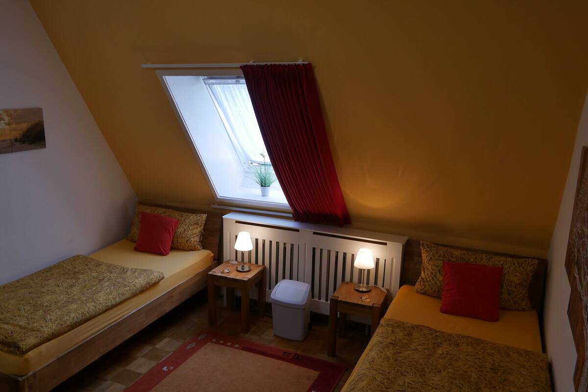 Una habitación pequeña y acogedora con dos camas individuales, un ventanal con vistas a una planta y un radiador debajo de la ventana.