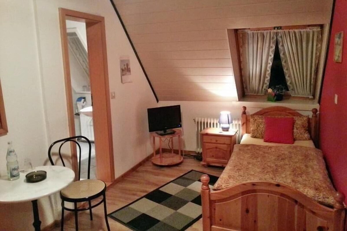 Un dormitorio bajo de techo, pequeño y triangular, con una cama individual, un televisor, una mesa con una silla y un radiador.