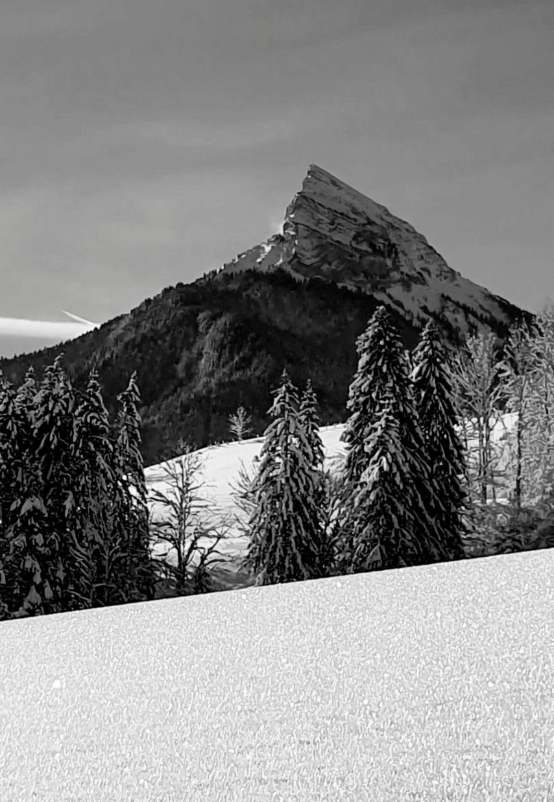 Un paisaje montañoso con árboles cubiertos de nieve y cielo despejado.