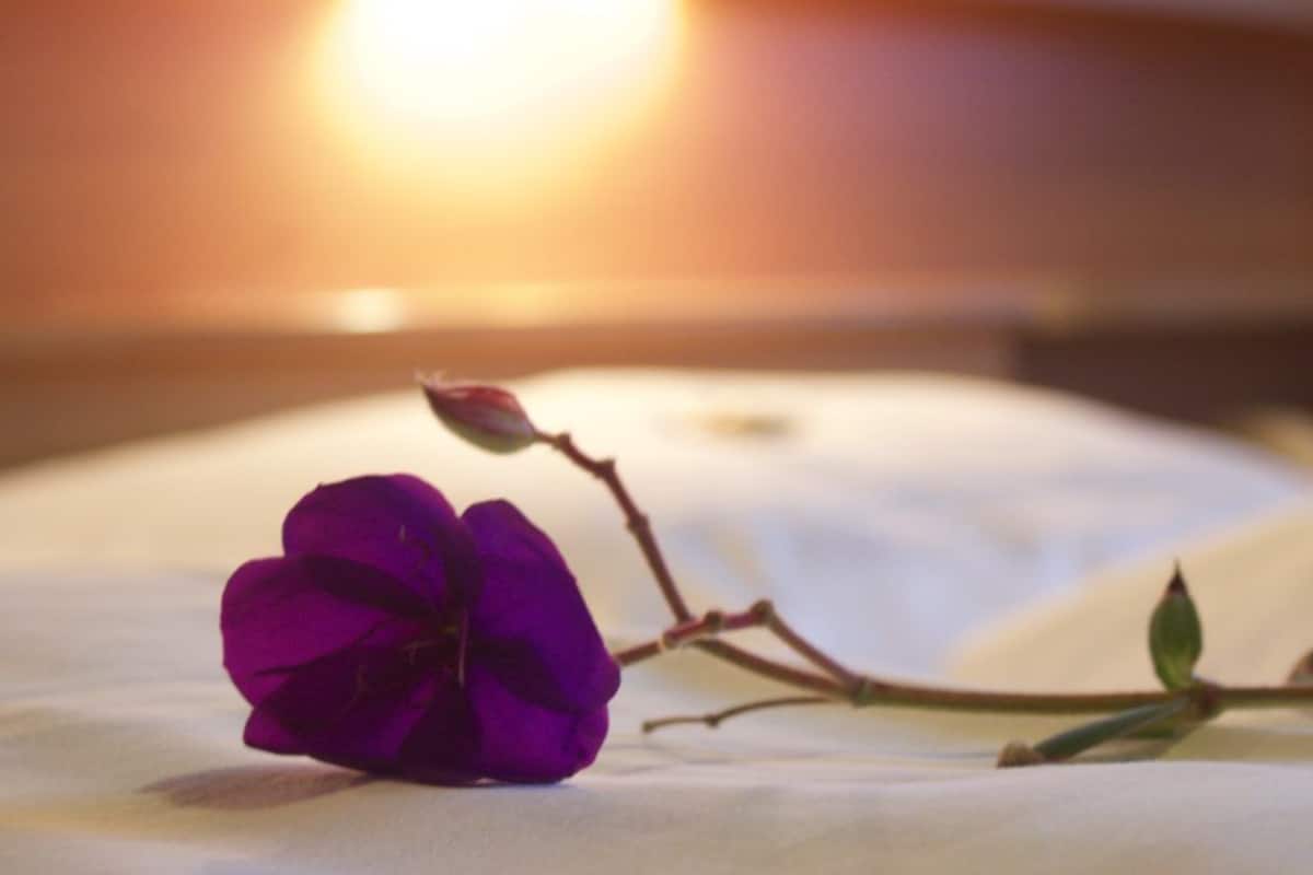 double room, 1 double bed | desk, free wifi