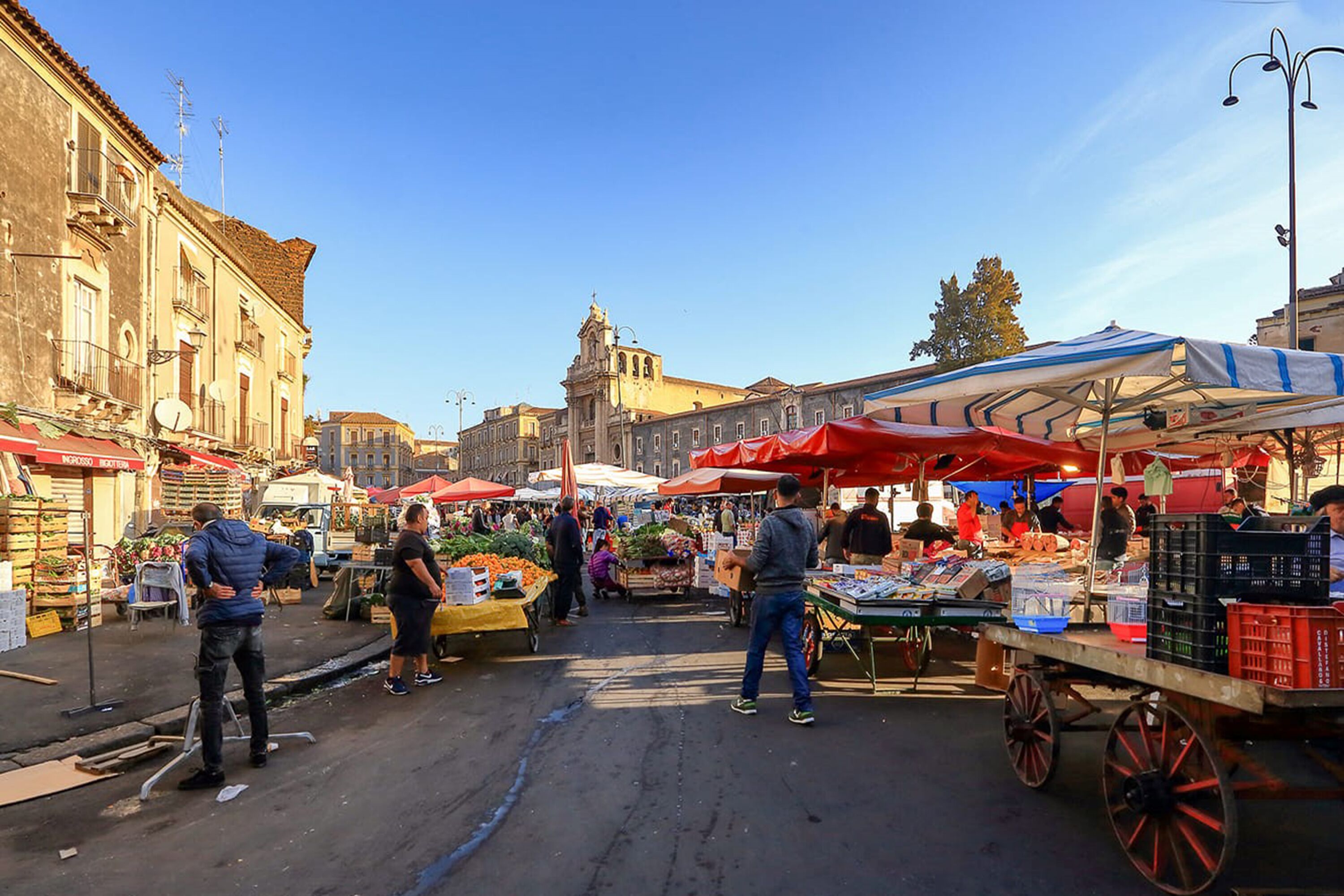 Foto - Living Simply