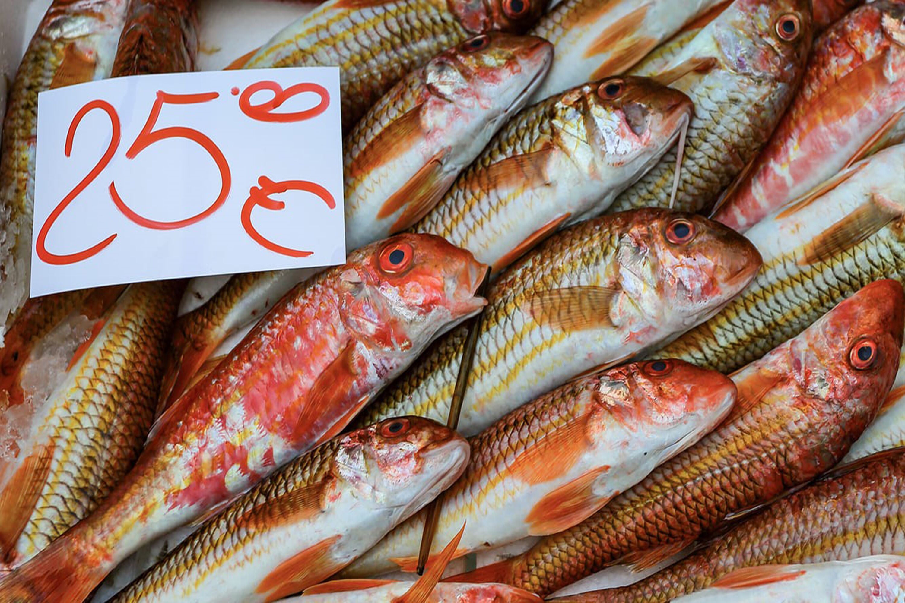 Foto - Living Simply