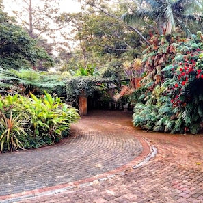 Property grounds - Stephward Estate Country House (Margate)