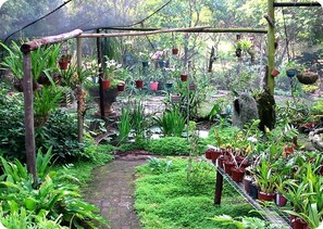 Garden - Stephward Estate Country House (Margate)