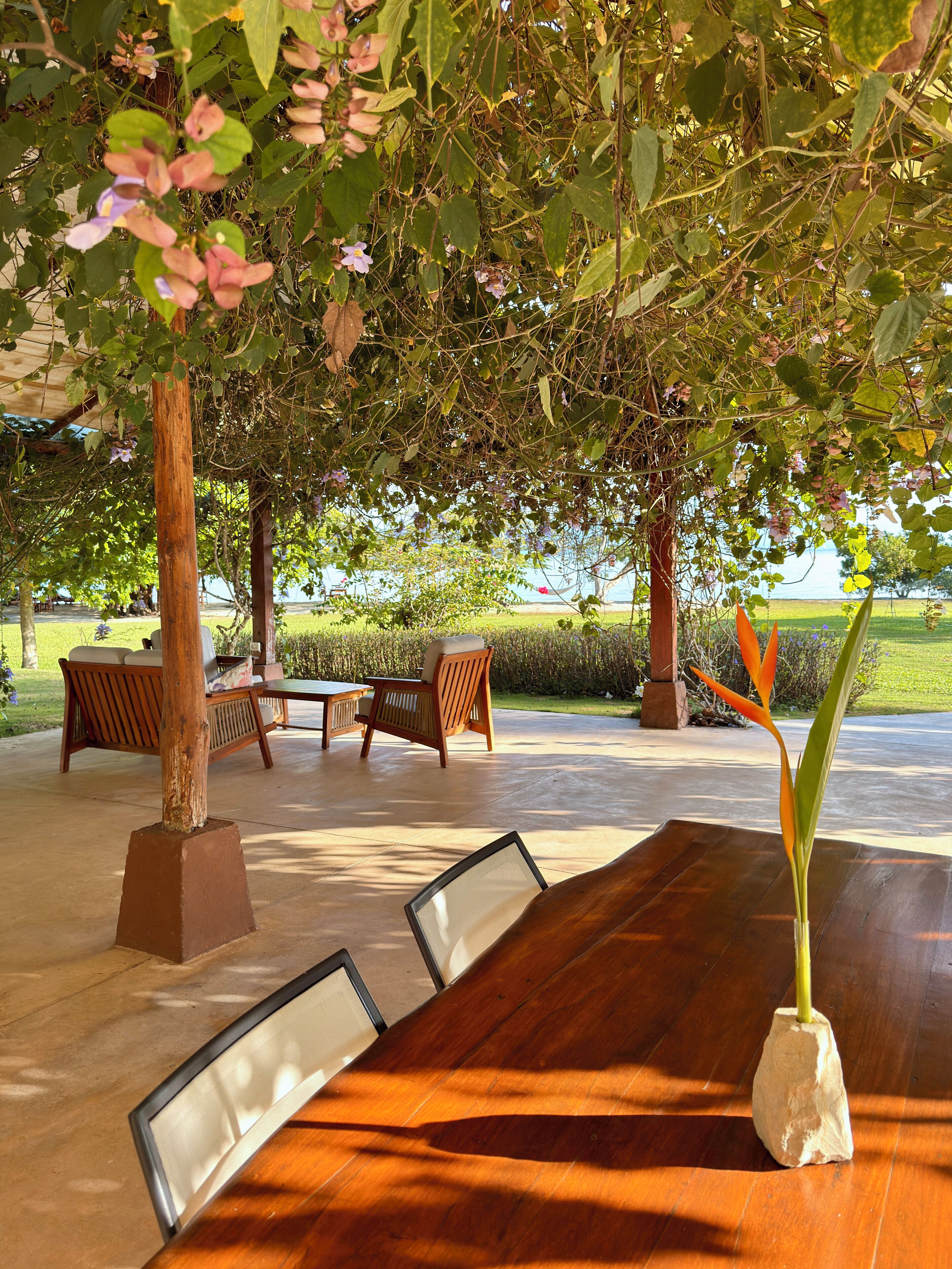 A covered outdoor seating area with a long wooden table, chairs, and a potted plant.