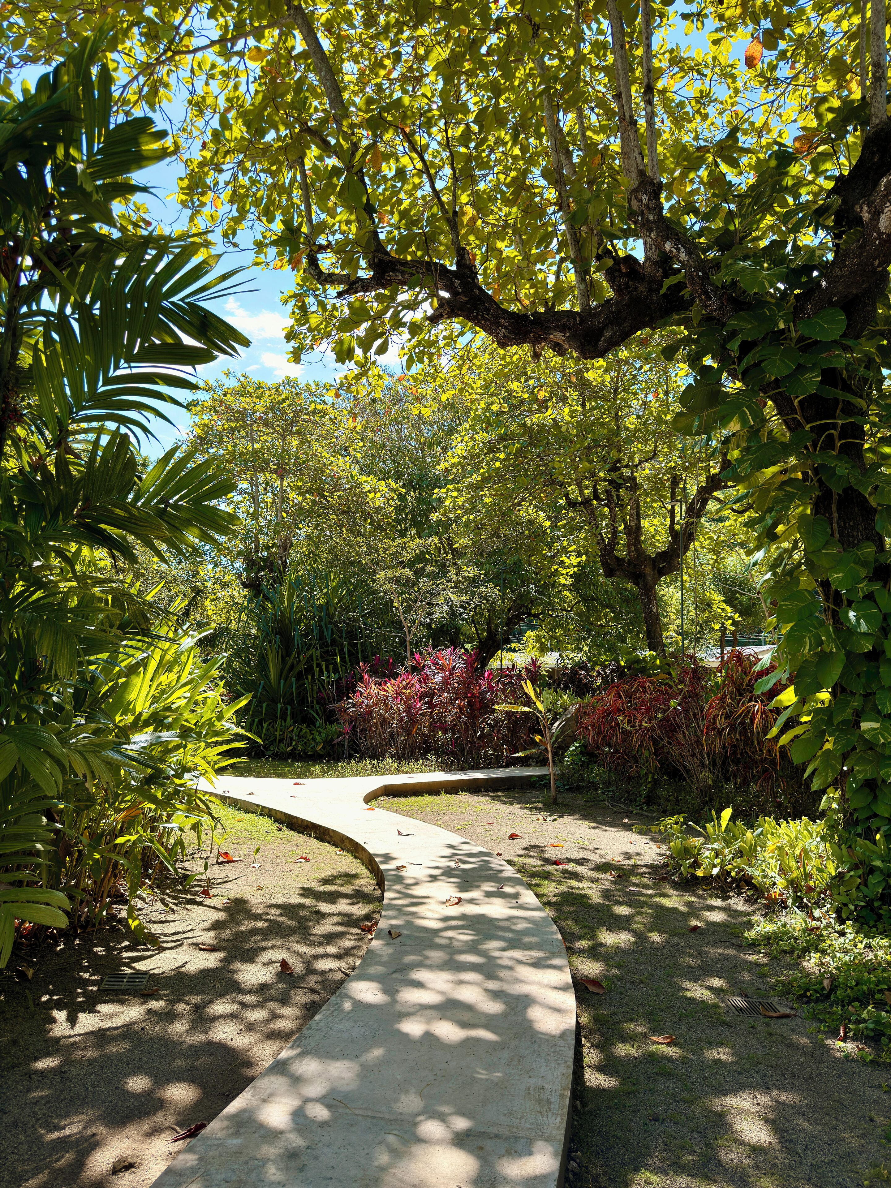 Garden view