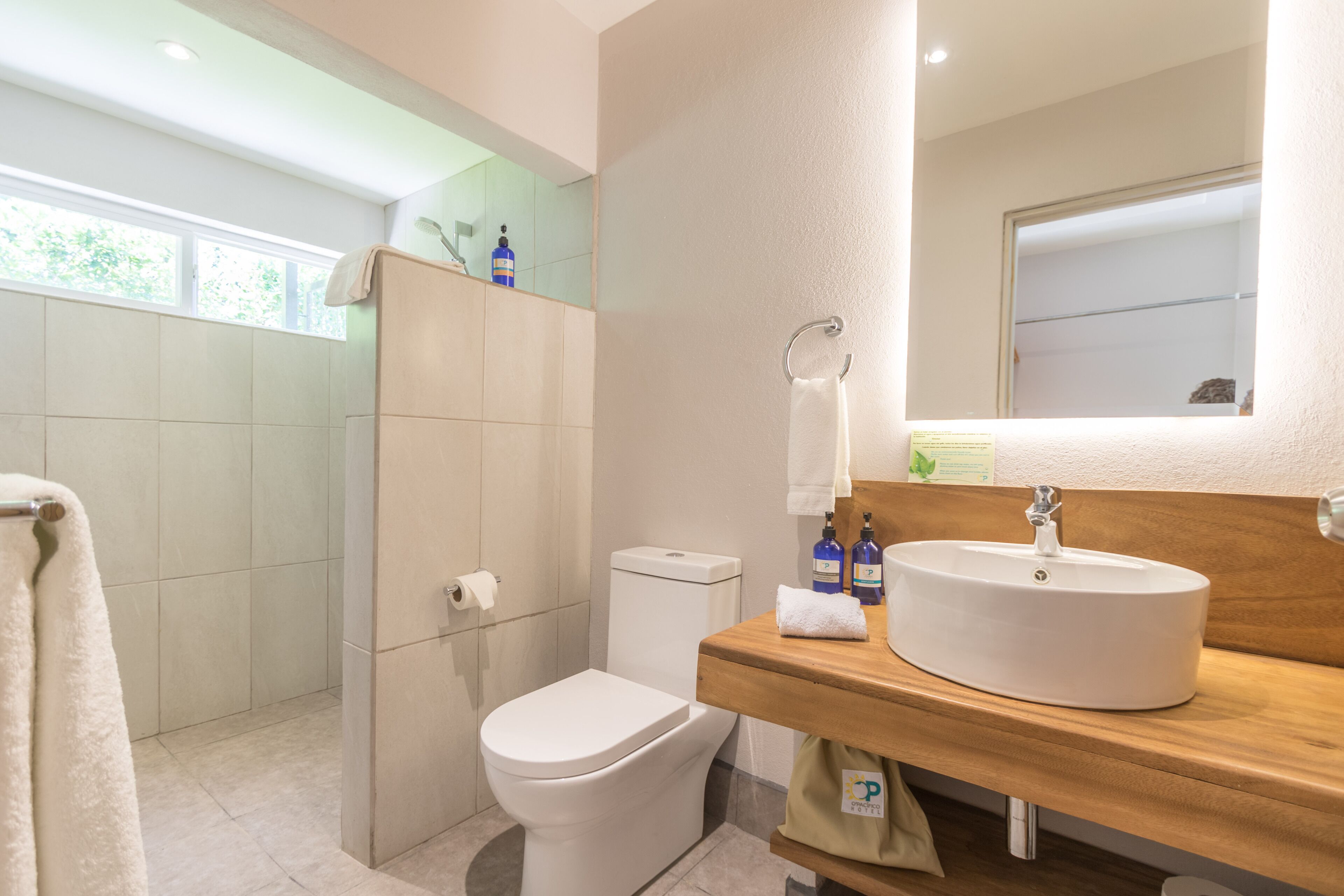 shower, rainfall showerhead, eco-friendly toiletries, hair dryer