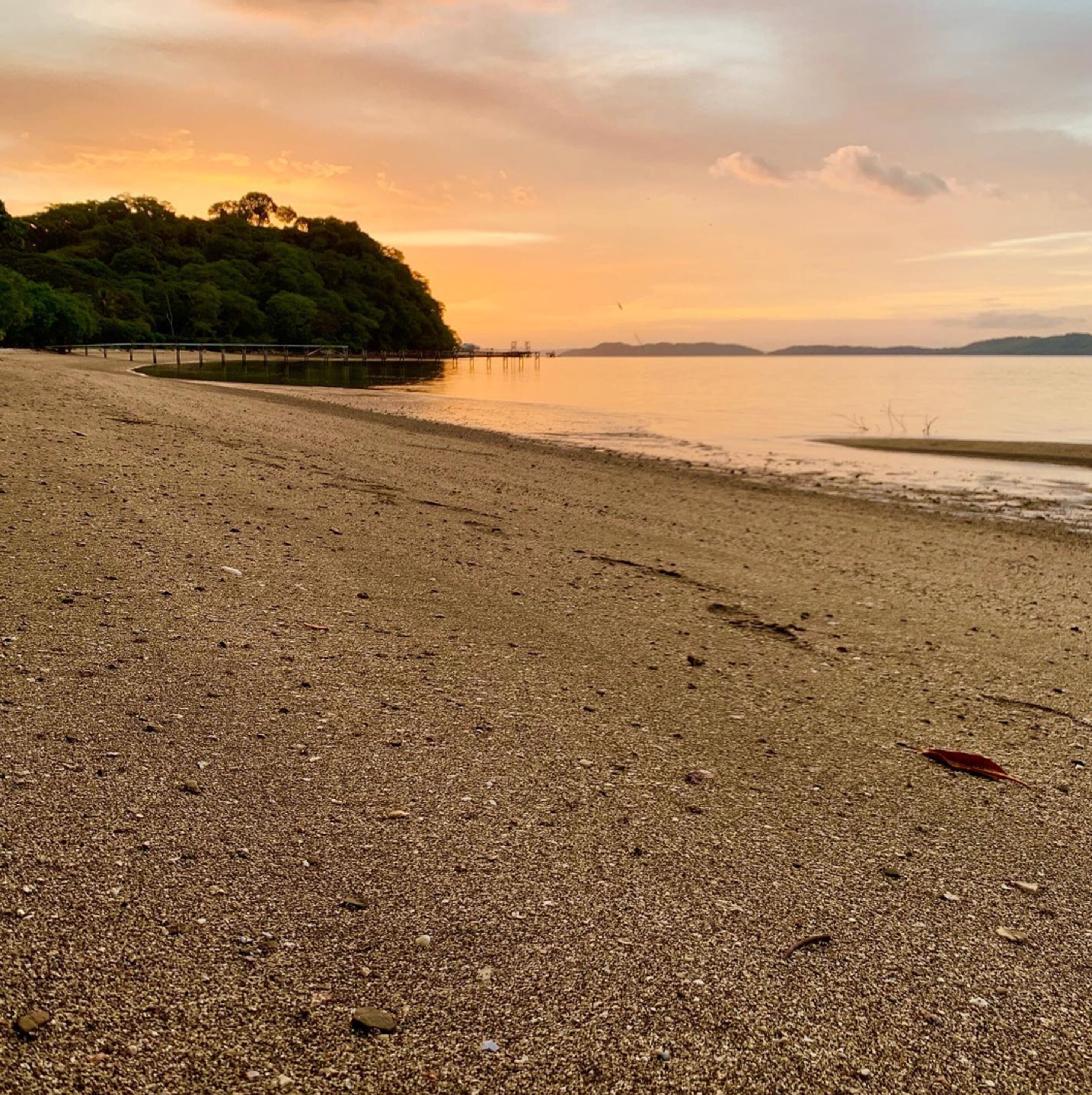 ビーチ