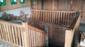 星評価なしの画像、5 / 20、ボタン