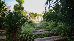 Un sentier bordé de plantes vertes et de planches de bois menant à un bâtiment doté de colonnes.
