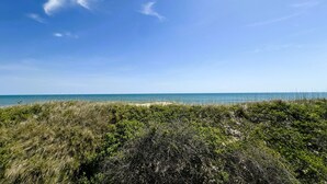 Paisagem costeira com céu claro, vegetação em primeiro plano e vista distante do mar.