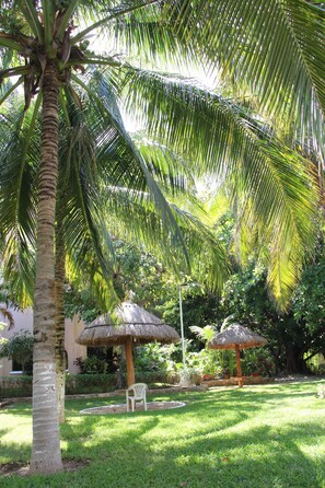 Áreas de la propiedad