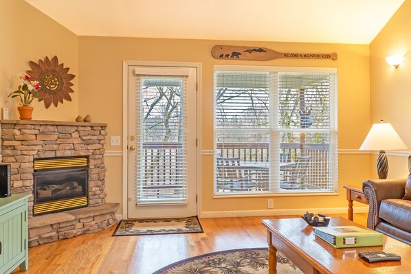 Smart TV, fireplace, video games, DVD player