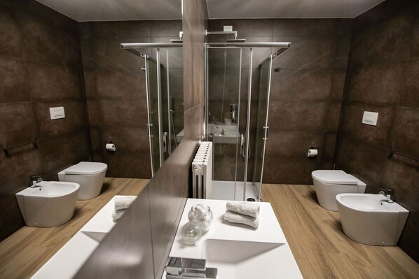 Shower, bidet, towels, toilet paper