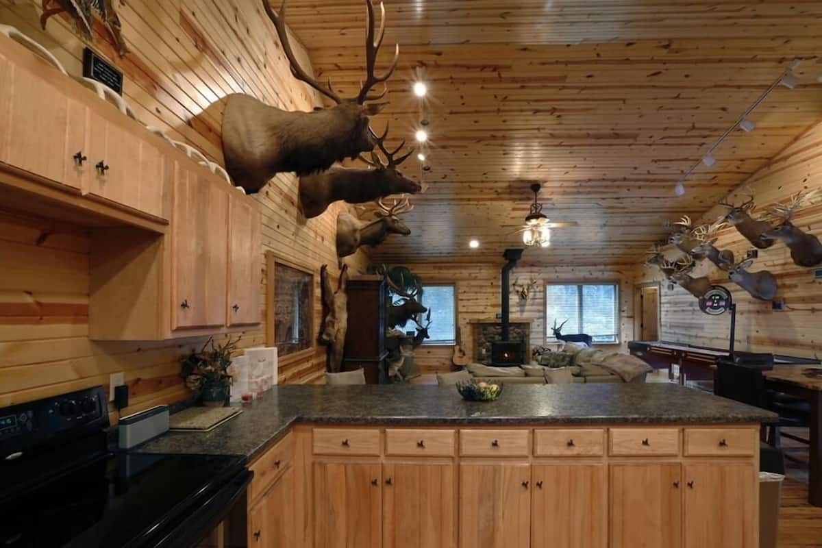 A cabin interior with wooden walls, a central island, and mounted animal heads.
