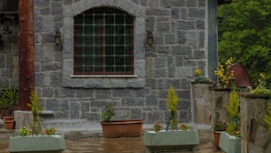 Un edificio de piedra con una ventana, plantas en macetas y una puerta de madera.