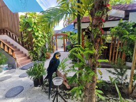 Una jaula de pájaros con un loro, rodeada de plantas y una escalera.