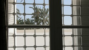 Une fenêtre à carreaux, offrant une vue sur des palmiers et un bâtiment situé à l’extérieur.