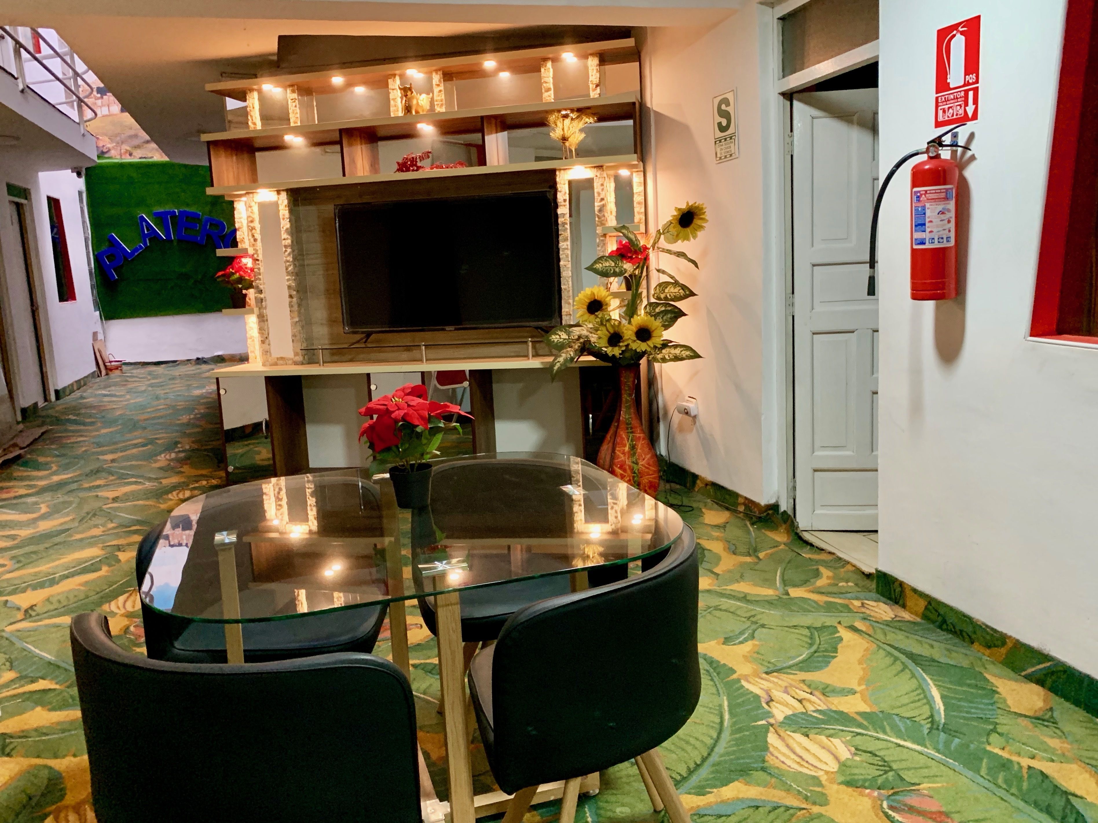Photo - Hotel Plateros