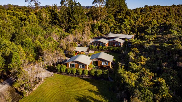 Un grupo de casas con un jardín amplio y un bosque frondoso al fondo.