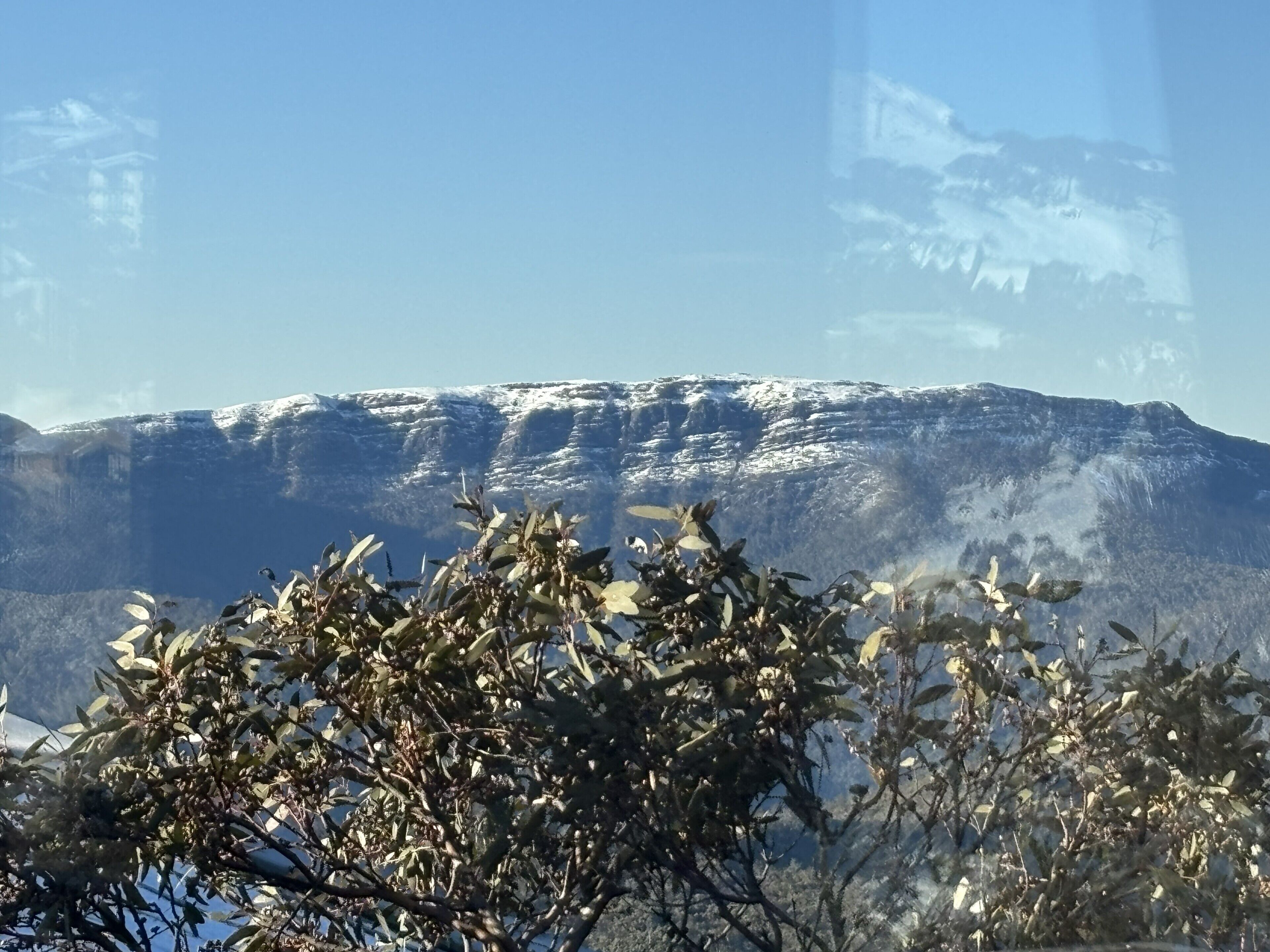 Un paysage de montagne avec des sommets enneigés et une végétation au premier plan.