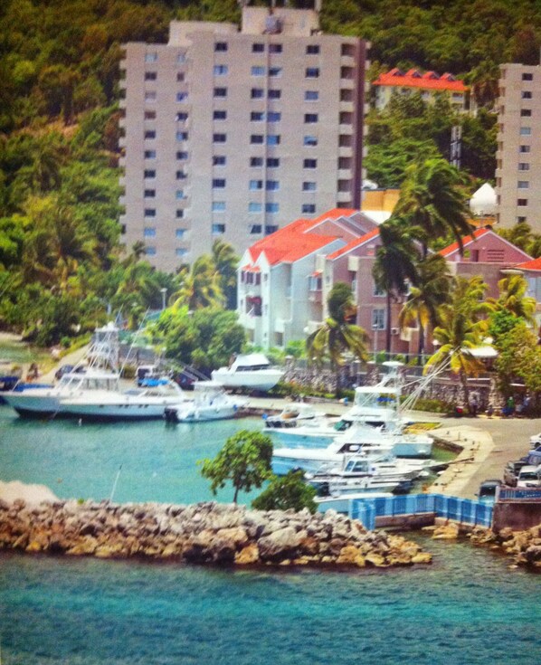 Aerial view - Beautiful Columbus Heights apartment  (Ocho Rios)