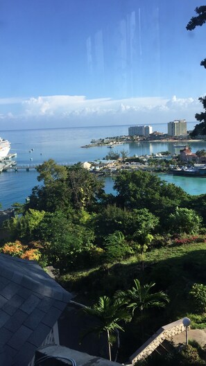 Vista desde la propiedad