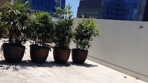 Terrassa al terrat amb quatre plantes en testos, paviment de rajola i vista als edificis circumdants.
