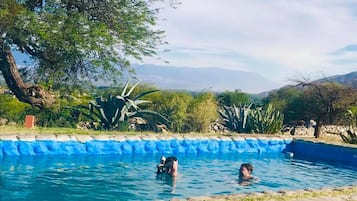 Seasonal outdoor pool, pool umbrellas, sun loungers
