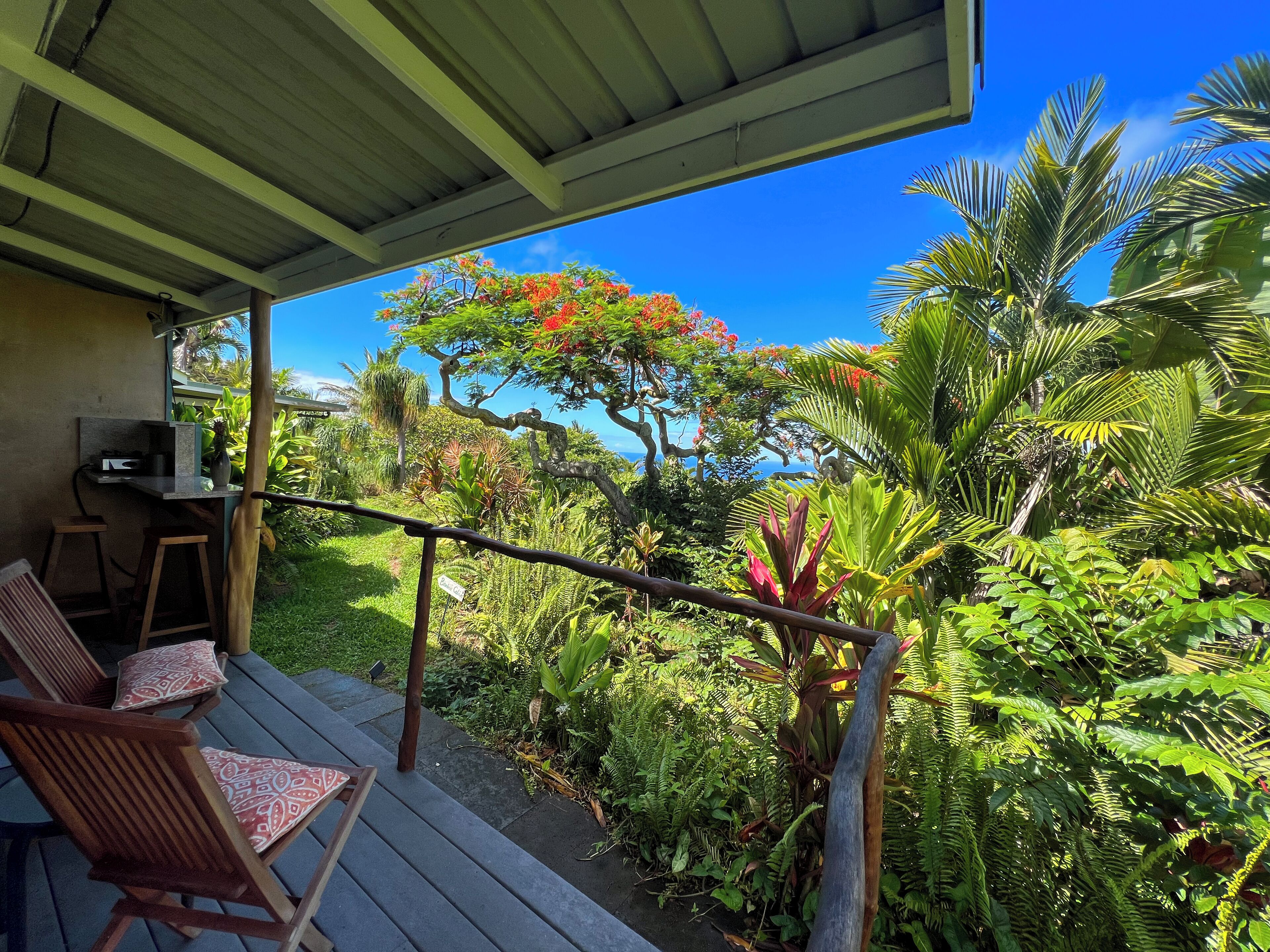 Un espacio al aire libre techado con sillas de madera y una mesa, rodeado de exuberante vegetación tropical y un cielo azul claro.