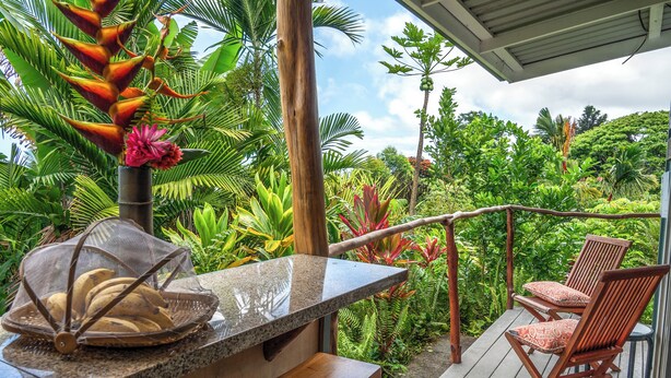 A wooden deck with a stone bench and two wooden chairs, surrounded by lush tropical plants and a clear view of the sky. - Gingerhill Farm Retreat (Kealakekua)