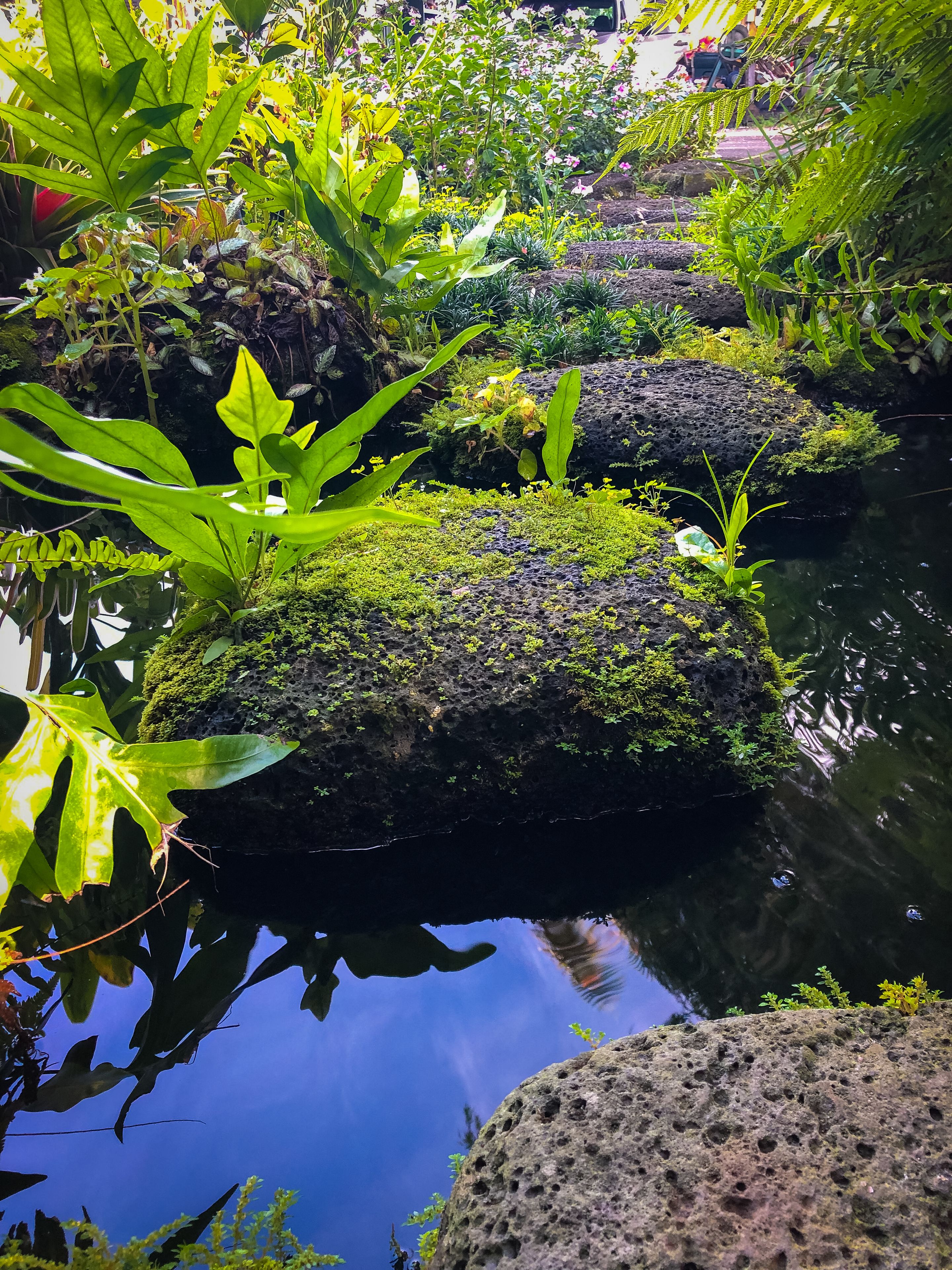 Ein Garten mit Steinen, Wasser und unterschiedlichen Pflanzen.