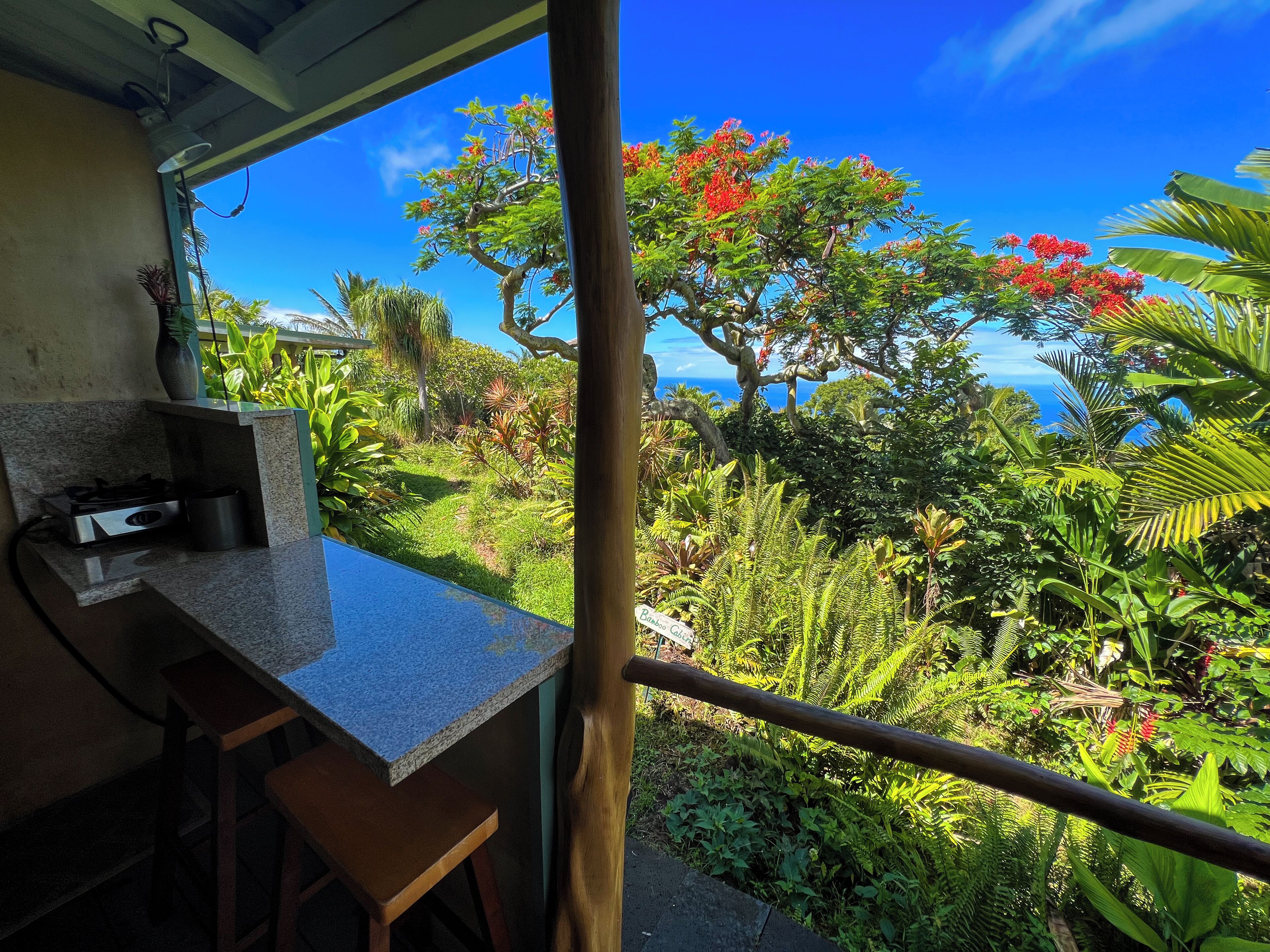 客房, 多张床, 无烟房, 海洋景观 | 露台