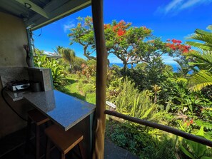 Un coin cuisine équipé d’une cuisinière à gaz et d’un évier, donnant sur un jardin luxuriant où poussent différentes espèces de plantes, et offrant une vue sur l’océan.