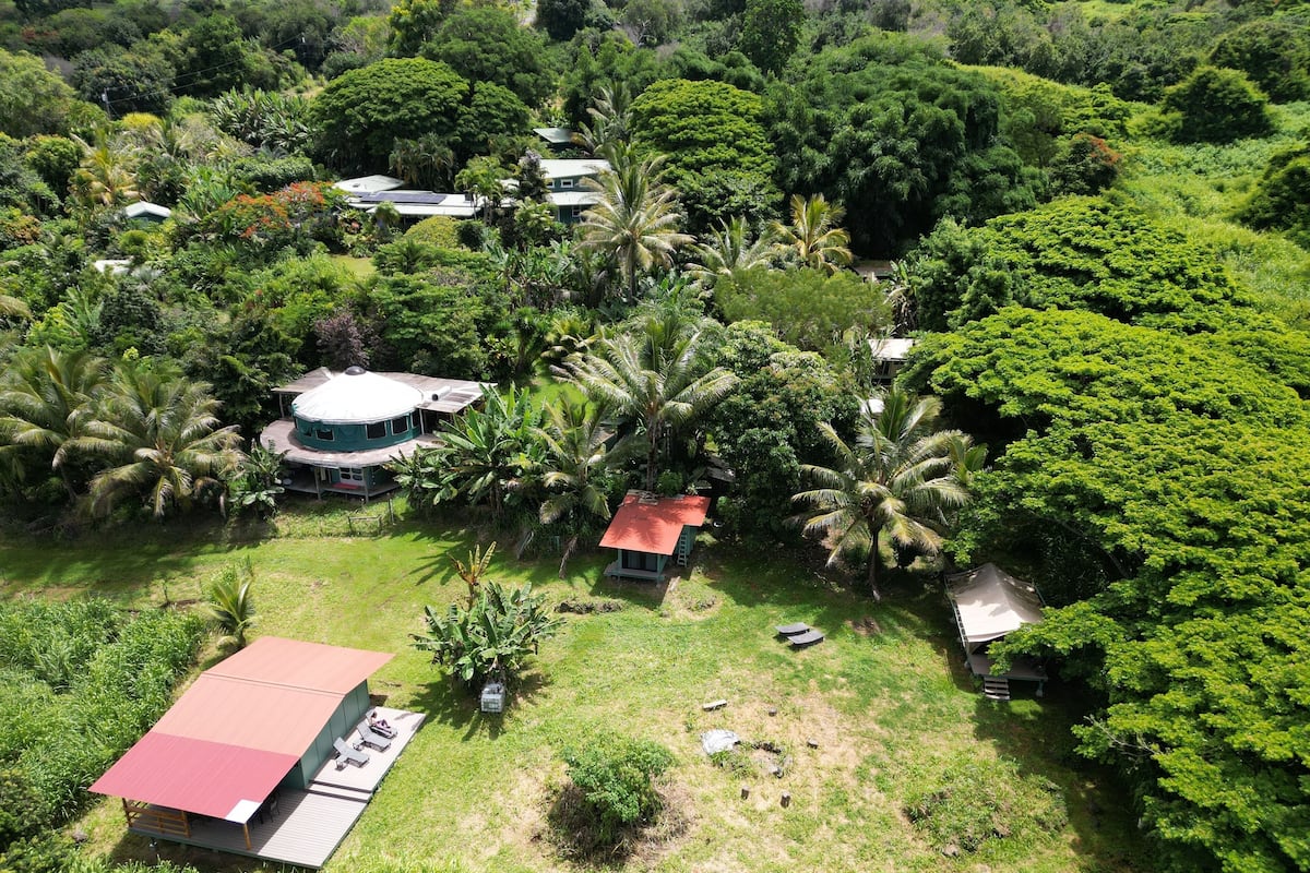 Luchtbeeld van een tropisch resort met meerdere gebouwen, omringd door weelderige begroeiing en palmbomen.