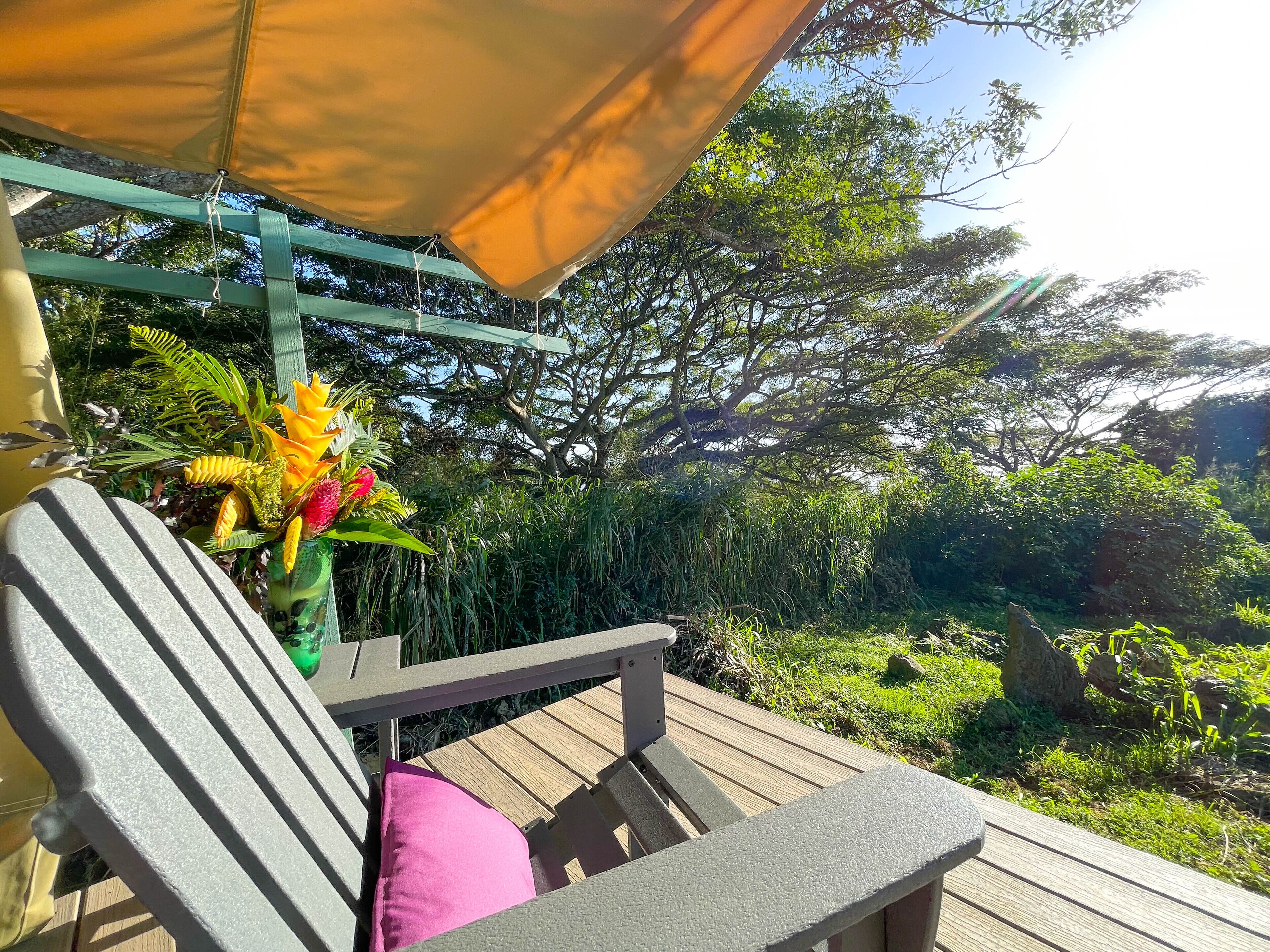 A wooden deck with a bench and a canopy.