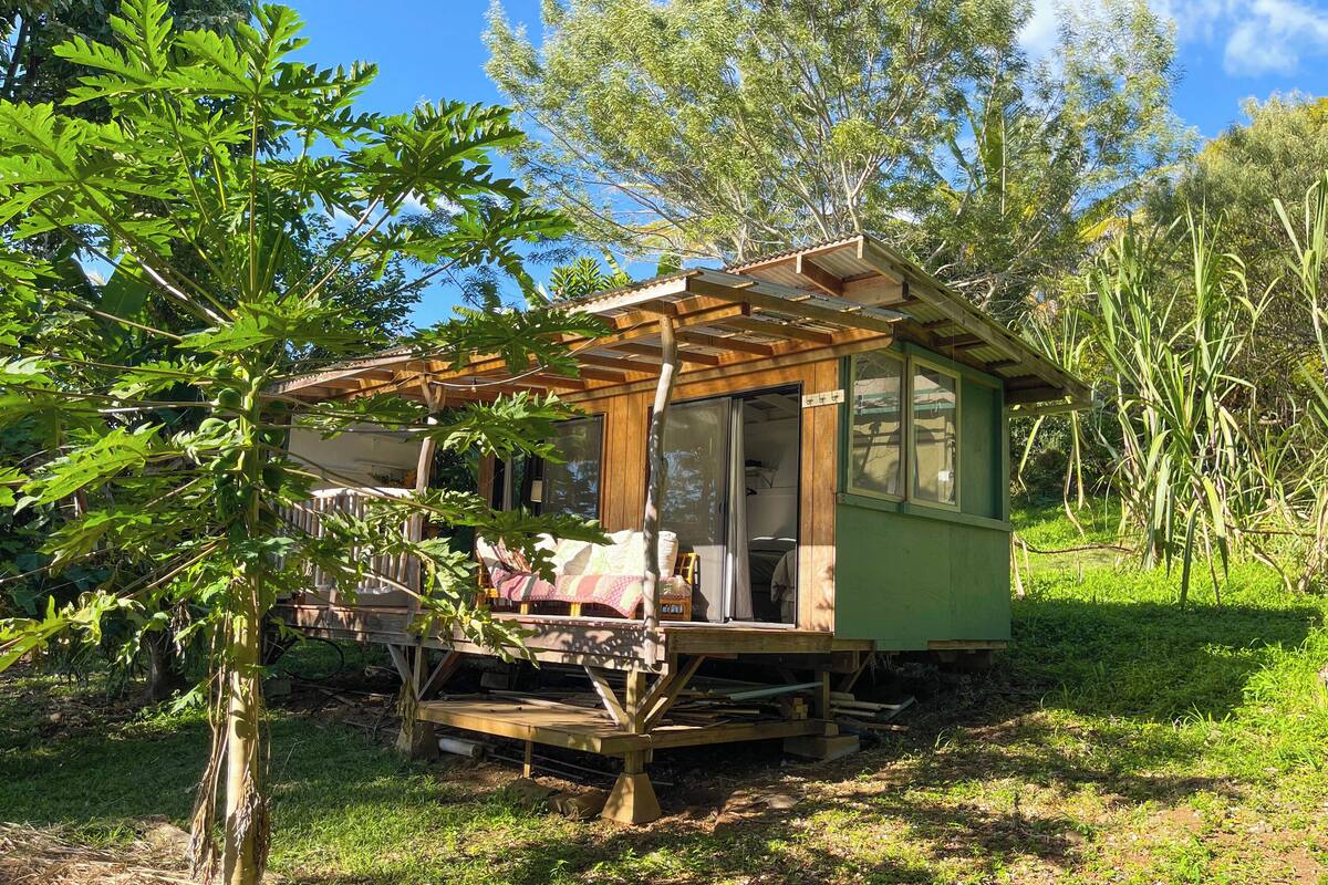 Een klein houten vakantiehuisje met een veranda, omringd door bomen en begroeiing.