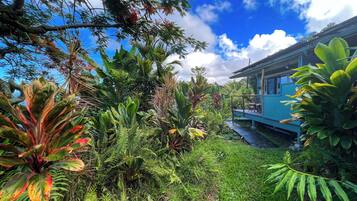 Un jardín exuberante con diversas plantas tropicales y una casa azul con porche.
