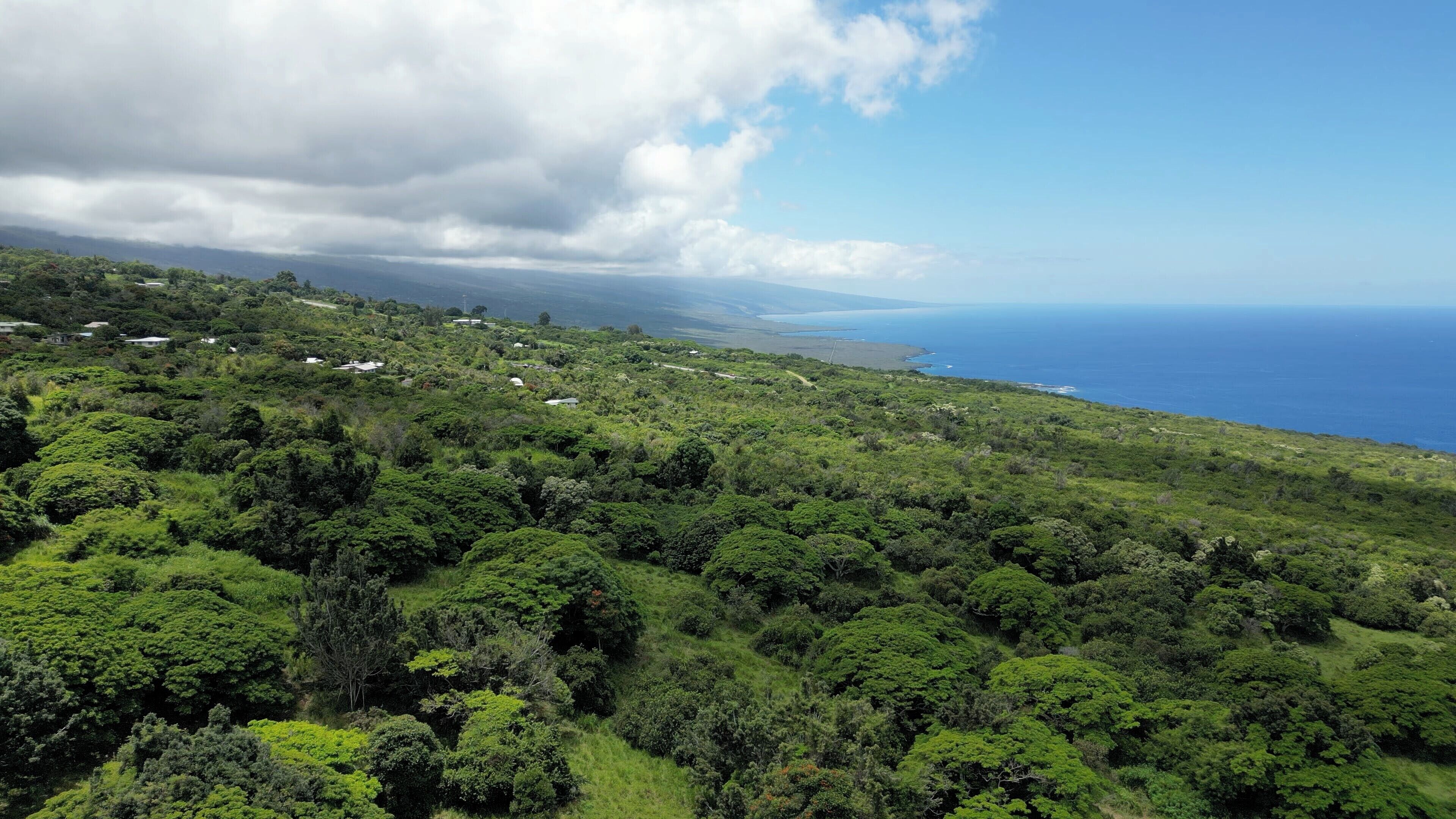 A lush, green landscape with scattered buildings, a clear sky, and a view of the ocean.