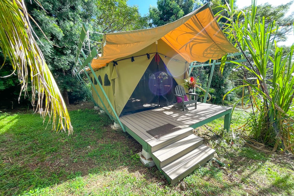 Een tent met een houten terras en een stoel, omringd door groen.