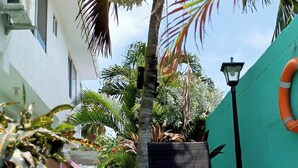 A narrow outdoor corridor with a palm tree, a bench, and a potted plant. - Jackuri Casa Hospedaje (San Andrés)