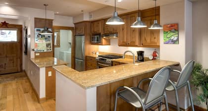 Luxury Condo Premiere Downtown Location