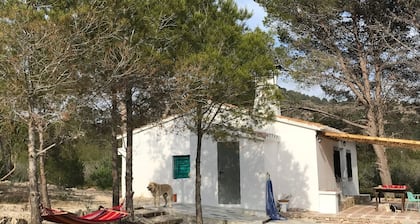 Cottage Ă Plena Naturaleza "Casita de Abajo"