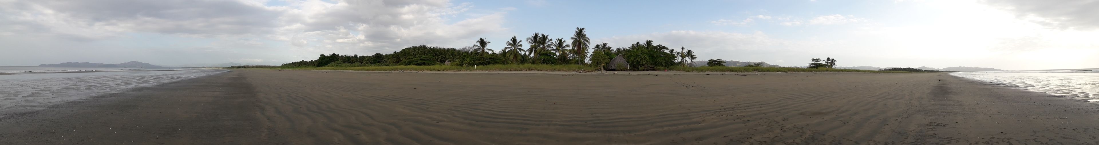 Una amplia playa de arena con una hilera de palmeras y una pequeña cabaña a lo lejos.