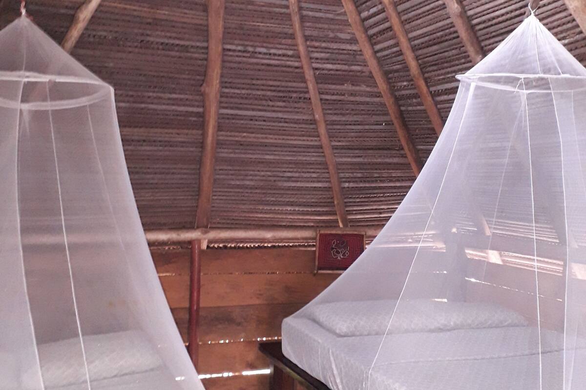 A room with two beds, each with a mosquito net, wooden beams, and a wooden ceiling.