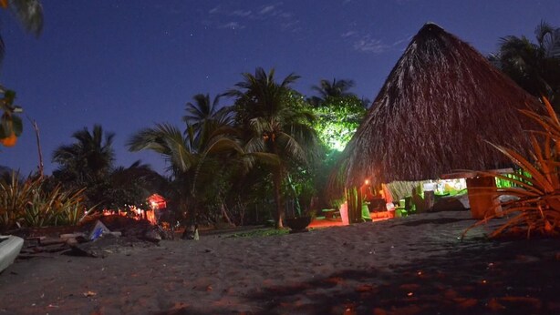 Une scène de plage avec une hutte au toit de chaume et des palmiers.