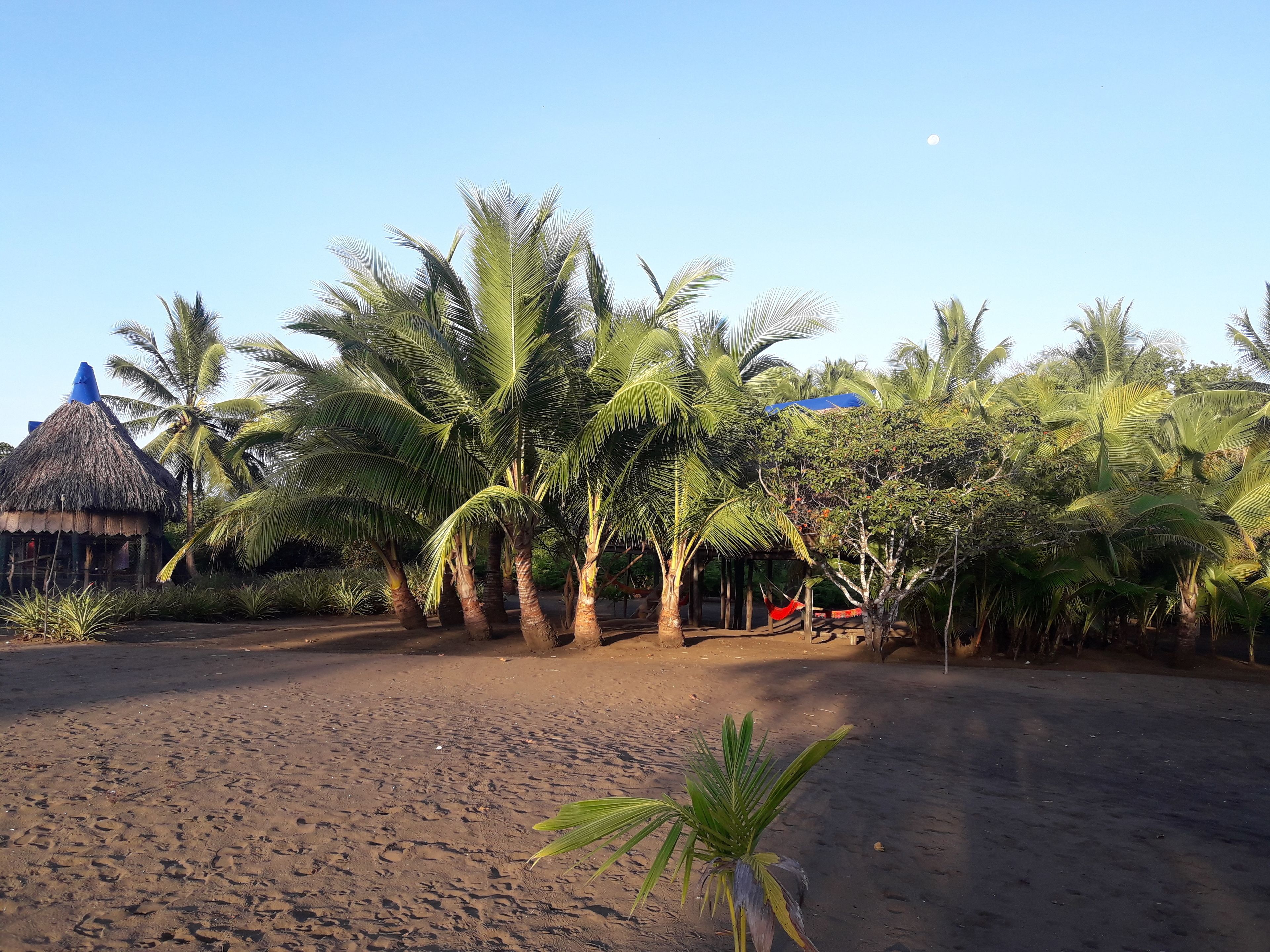 傳統小屋, 1 張標準雙人床, 海景, 海濱