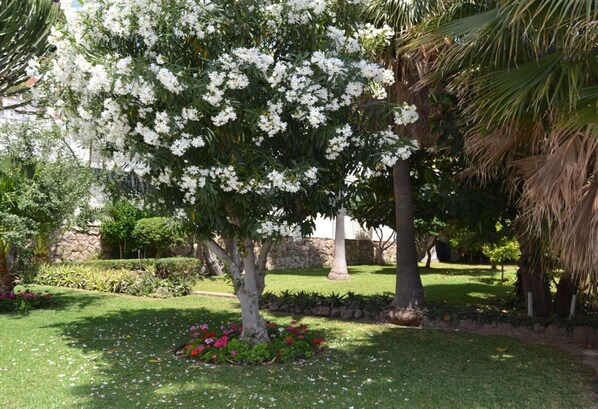 Terrein van de accommodatie